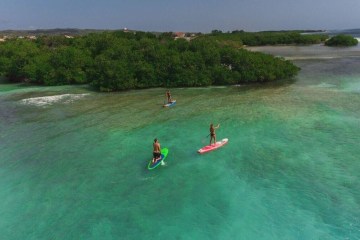 Three people on stand up paddle boards.