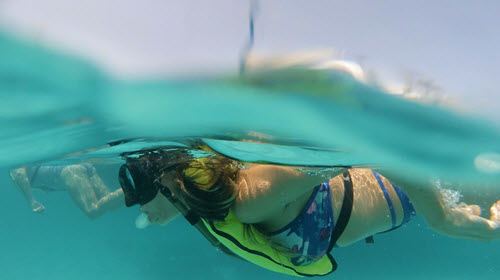 Snorkeling Cruise