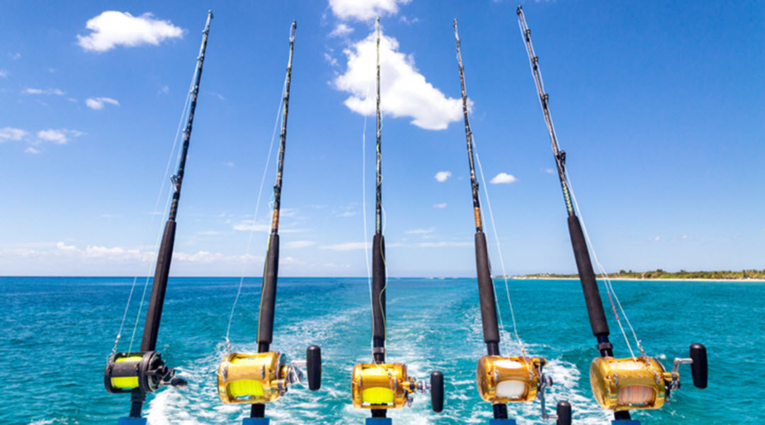 Amazing Fishing Adventures in Aruba