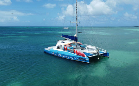 Dolphin Catamaran Cruise