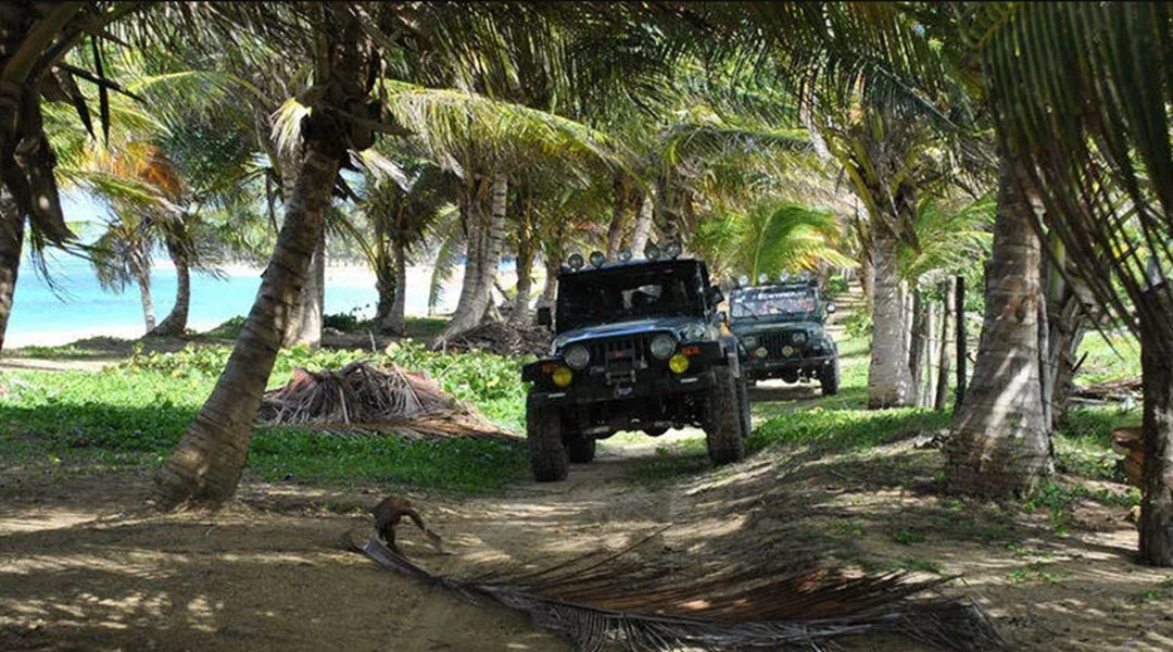 Jeep Safari - Island Expedition Tour