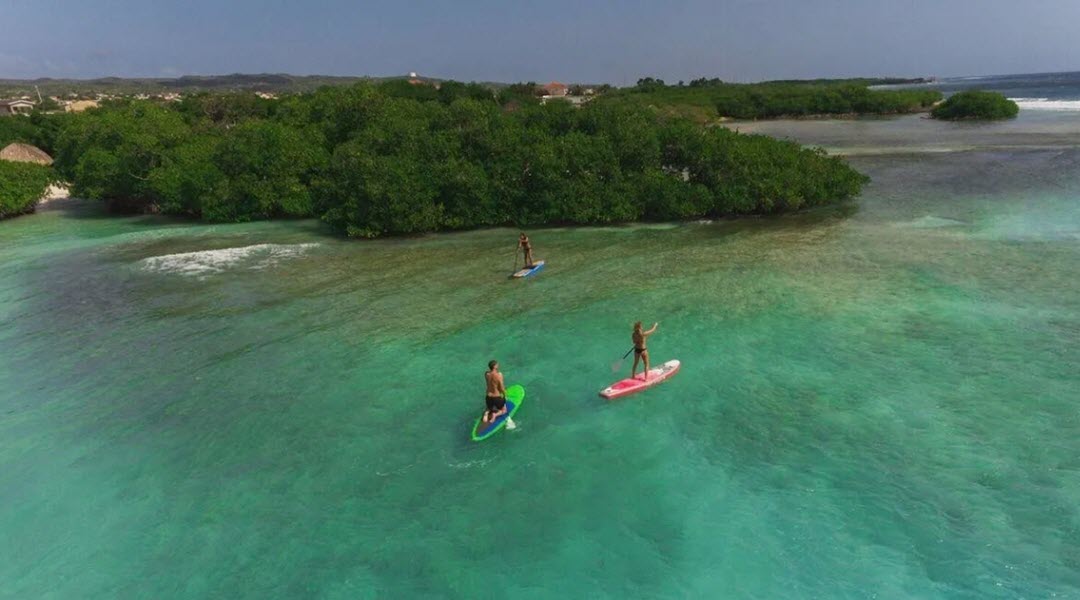 Paddleboarding In Calm Aruba Waters