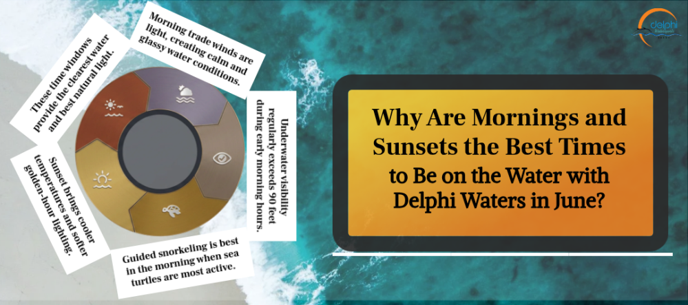 Why Are Mornings and Sunsets the Best Times to Be on the Water with Delphi Waters in June